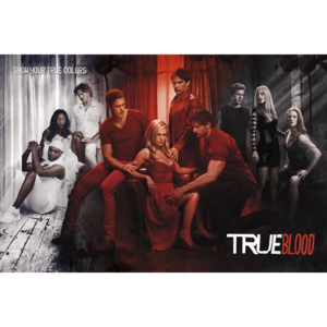 Plakát - True Blood (Show Your True Colours)