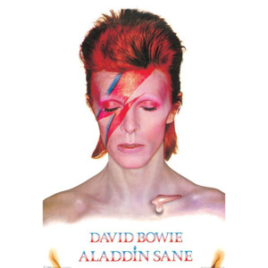 Plakát - David Bowie (Alladin Sane)