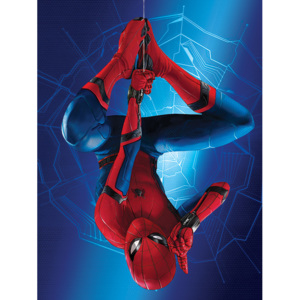 Obraz na plátně Spider-Man Homecoming - Hang, (60 x 80 cm)