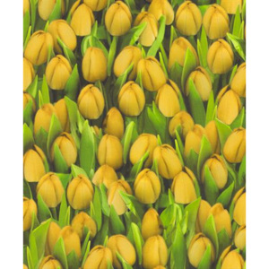 Vinylové tapety na zeď Allure tulipány žluté 416730, rozměr 10,05 m x 0,53 m, IMPOL TRADE