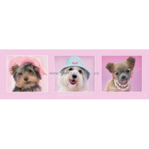 Plakát - Canine cuties