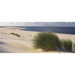 C655VEP Fototapeta: Písečná pláž (1) - 104x250 cm