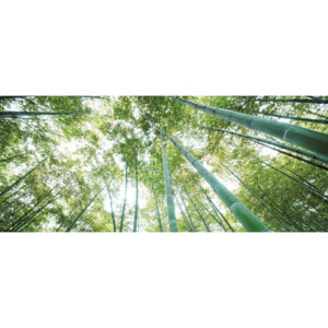 C150VEP Fototapeta: Les bambusu - 104x250 cm