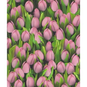 Vinylové tapety na zeď Allure tulipány růžové 416723, rozměr 10,05 m x 0,53 m, IMPOL TRADE