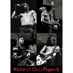 Plakát - Red Hot Chili Peppers (Live)