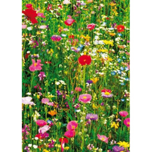 Fototapeta Flower Field, rozměr 183 cm x 254 cm, fototapety W+G 375