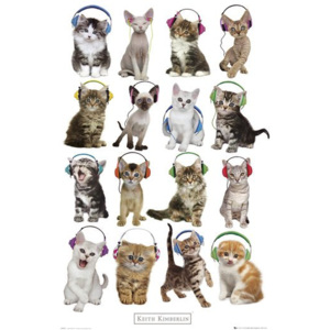 Plakát - Kočky se sluchátky, Keith Kimberlin