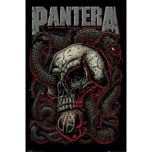 Plakát - Pantera (Snake Eye)