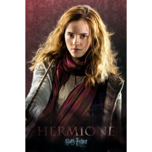 Plakát - Harry Potter (Hermione)