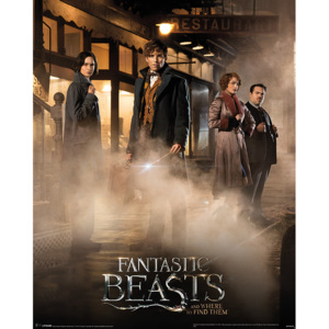 Plakát, Obraz - Fantastická zvířata a kde je najít - Fantastic Beasts, (40 x 50 cm)