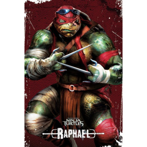 Plakát - Želvy Ninja, Teenage Mutant Ninja Turtles (Raphael)