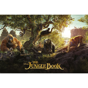 Plakát - Kniha džunglí, The Jungle Book (2)