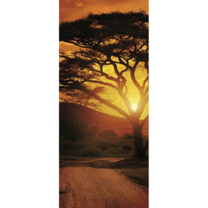 C055VET Fototapeta: Africký západ slunce - 211x91 cm
