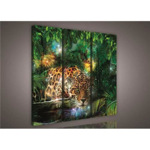 Obraz na plátně jaguár v džungli 559S6, rozměr 90 x 80 cm, IMPOL TRADE