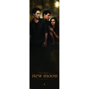 Plakát - Twilight New Moon-Woods