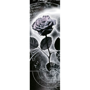 Plakát - Mercury Rose (1)