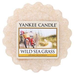Yankee Candle – vonný vosk Wild Sea Grass 22 g