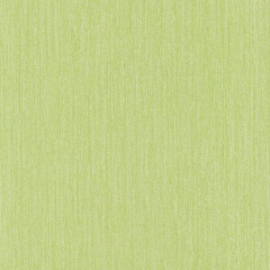Papírové tapety na zeď X-treme Colors 05566-30, rozměr 10,05 m x 0,53 m, strukturovaná zelená, P+S International
