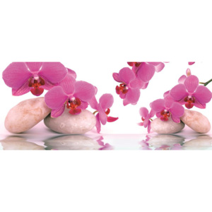 C151VEP Fototapeta: Orchidej a kameny - 104x250 cm