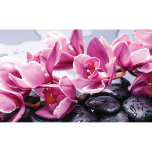 C1337P8 Fototapeta: Lázeňské kameny a růžové orchideje - 254x368 cm
