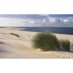 C655P4 Fototapeta: Písečná pláž (1) - 184x254 cm