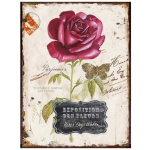Obraz na plátně 25 x 30 cm Růže - Autronic