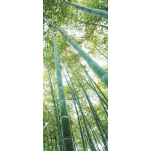 C150VET Fototapeta: Les bambusu - 211x91 cm