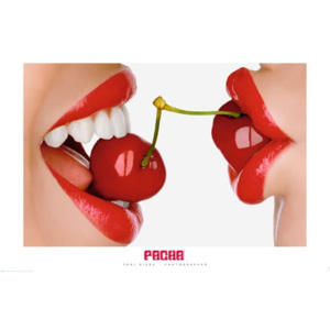 Plakát - Pacha-cherries
