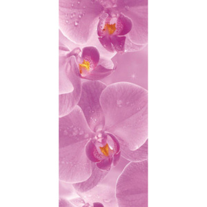 C149VET Fototapeta: Orchideje (1) - 211x91 cm