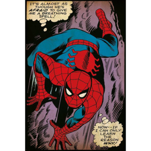 Plakát - Spiderman (comics)