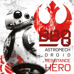 Obraz na plátně Star Wars: Poslední z Jediů - BB-8 Resistance Hero, (40 x 40 cm)