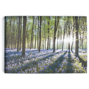 Obraz Graham & Brown Bluebell Landscape, 100 x 70 cm