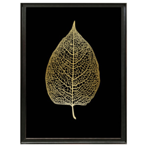 Plakát v rámu Deluxe Leaf, 70 x 50 cm