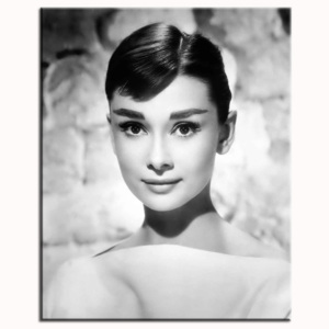 Obraz na zeď Audrey Hepburn Simple 48836717AH