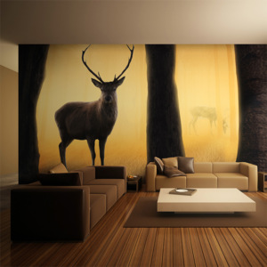 Bimago Fototapeta XXL - Deer in his natural habitat 550x270 cm