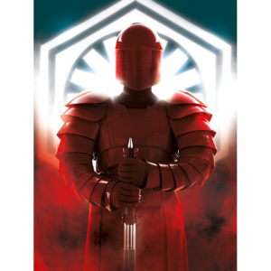 Obraz na plátně Star Wars: Poslední z Jediů - Elite Guard Defend, (60 x 80 cm)