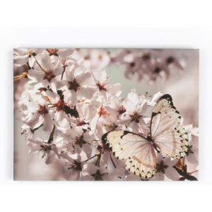 Obraz Graham & Brown Butterfly Branch, 70 x 50 cm