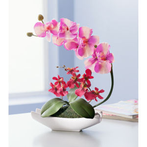Umělá orchidej v keramické misce, 30 cm