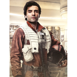 Obraz na plátně Star Wars: Poslední z Jediů - Poe Battle Ready, (60 x 80 cm)