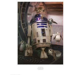 Obraz, Reprodukce - Star Wars: Poslední z Jediů - R2-D2 & Porgs, (60 x 80 cm)
