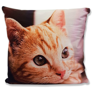Jahu Zrzavá kočka dekorační polštář