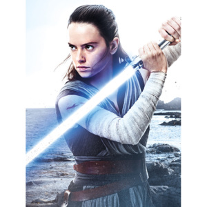 Obraz na plátně Star Wars: Poslední z Jediů - Rey Engage, (60 x 80 cm)