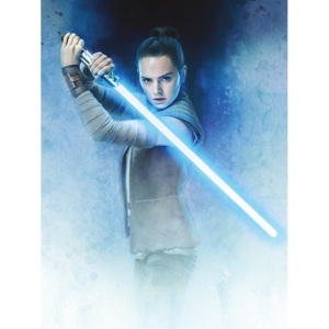 Obraz na plátně Star Wars: Poslední z Jediů - Rey Lightsaber Guard, (60 x 80 cm)