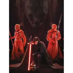 Obraz na plátně Star Wars: Poslední z Jediů - Kylo Ren Kneel, (60 x 80 cm)
