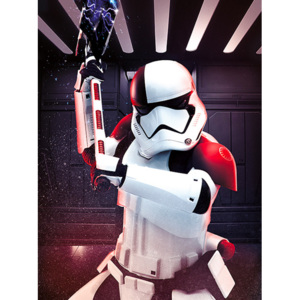 Obraz na plátně Star Wars: Poslední z Jediů - Executioner Trooper, (60 x 80 cm)