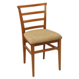 Židle ADELA Nábytek | Židle a stolové lavice | Jídelní židle