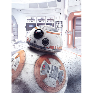 Obraz na plátně Star Wars: Poslední z Jediů - BB-8 Peek, (60 x 80 cm)
