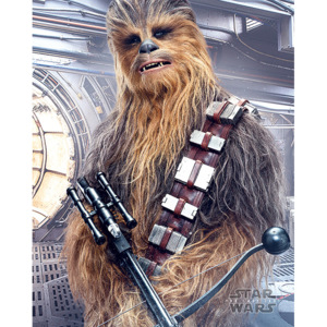 Plakát, Obraz - Star Wars: Poslední z Jediů - Chewbacca Bowcaster, (40 x 50 cm)