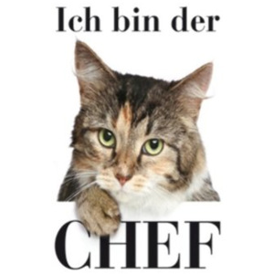 Plechová cedule Ich bin der chef - Kočička