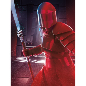 Obraz na plátně Star Wars: Poslední z Jediů - Elite Guard Blade, (60 x 80 cm)